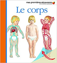 Le corps